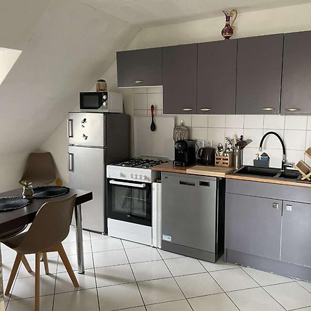 Joli Appartement Avec Place De Parking Prive Colmar Dış mekan fotoğraf