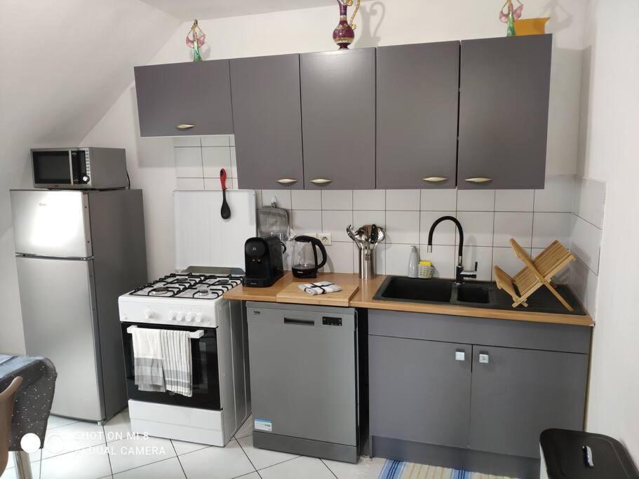 Joli Appartement Avec Place De Parking Prive Colmar Dış mekan fotoğraf
