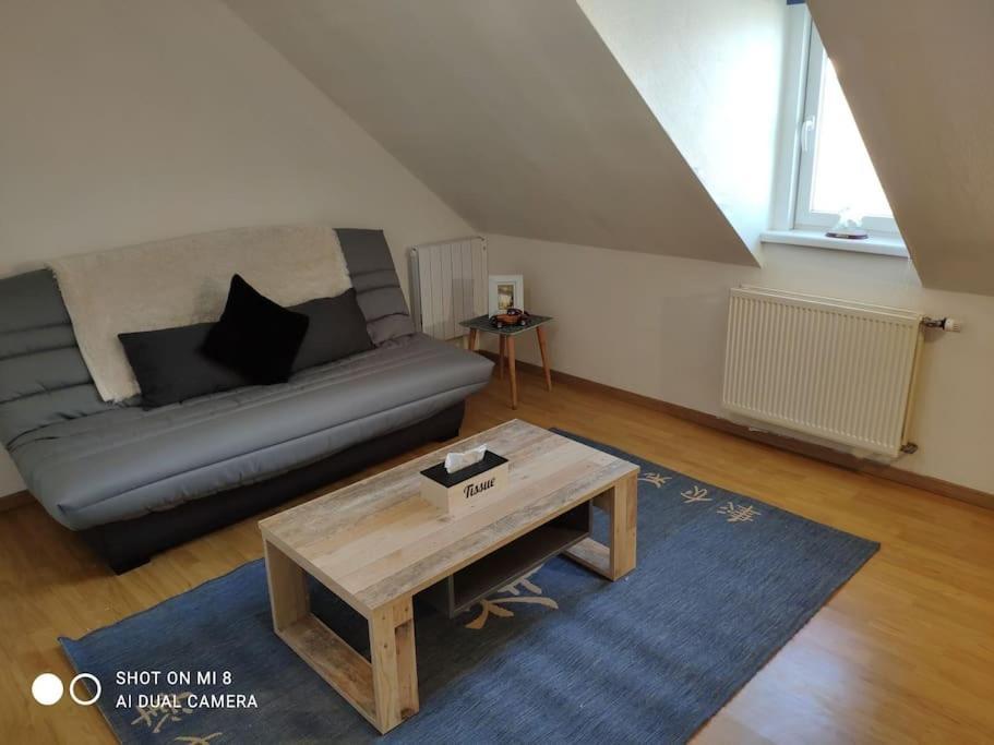 Joli Appartement Avec Place De Parking Prive Colmar Dış mekan fotoğraf