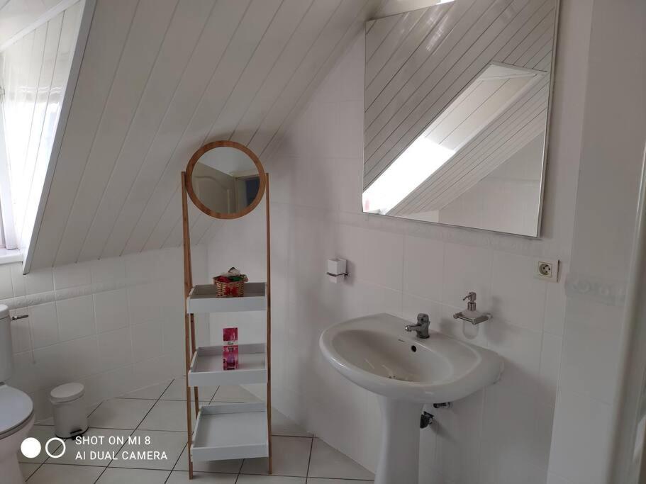 Joli Appartement Avec Place De Parking Prive Colmar Dış mekan fotoğraf
