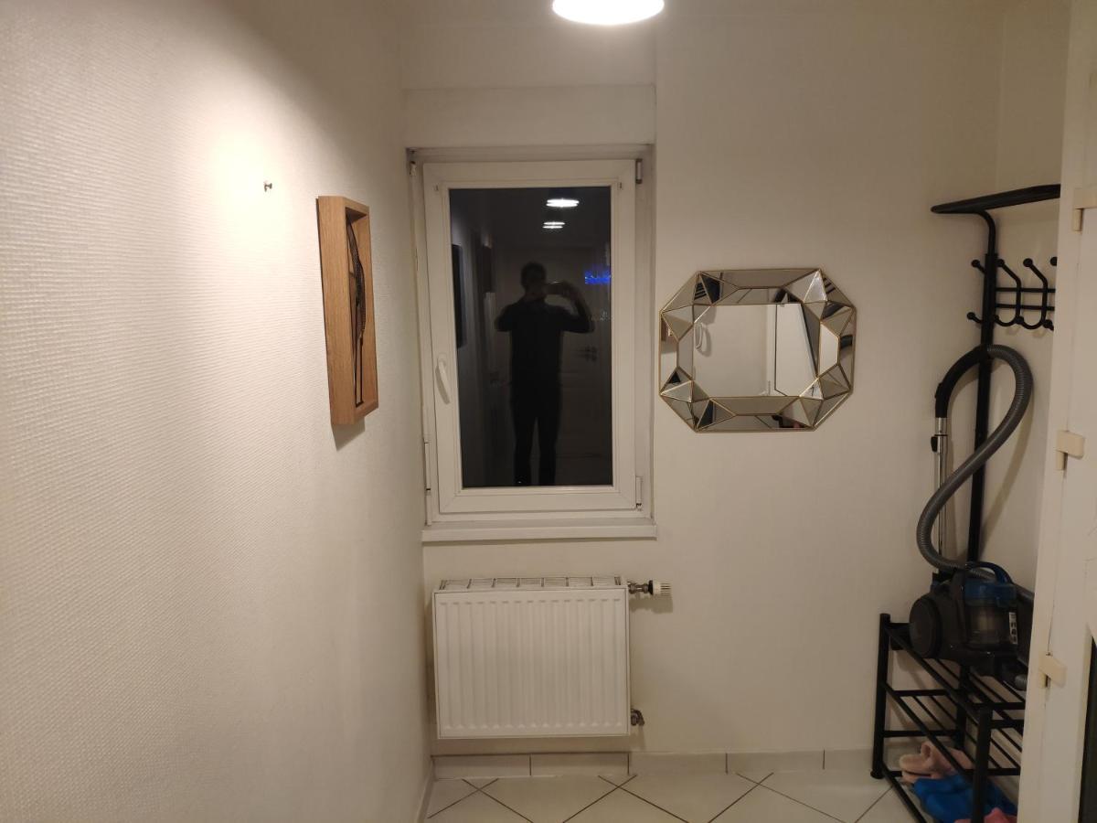 Joli Appartement Avec Place De Parking Prive Colmar Dış mekan fotoğraf