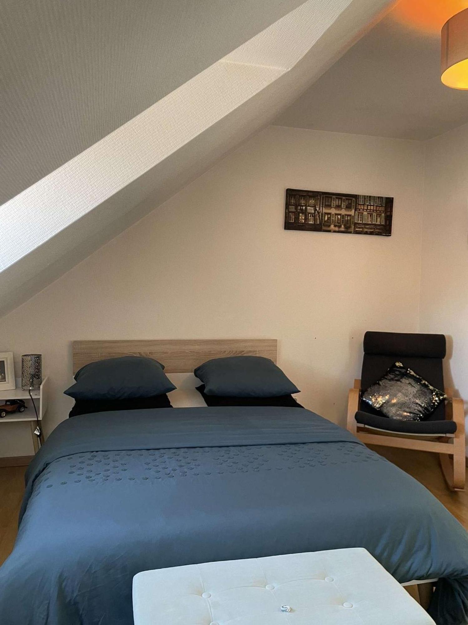 Joli Appartement Avec Place De Parking Prive Colmar Dış mekan fotoğraf